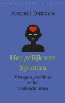 Antonio Damasio 62295 - Het gelijk van Spinoza vreugde, verdriet en het voelende brein