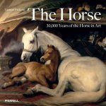 Tamsin Pickeral - The Horse