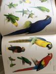 Christopher M. Perrins - Geïllustreerde Encyclopedie van de Vogels - een compleet overzicht van alle vogelsoorten van de wereld
