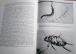 Pesson, Paul - De Wereld der insekten