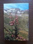 Pohler, Alfred - Zauberhafte Alpenblumen