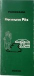 Hermann Pitz 179229 - Panorama - Hermann Pitz