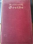 Albert Bieltchowsky - Goethe - Sein Leben und seine werke - Erster Band