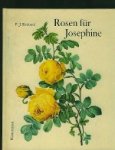 Redout , P.J. - Rosen f r Josephine
