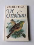 Hart, Maarten 't - De Ortolaan
