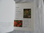 Seitz, Paul - Praktisch Handboek KRUIDEN KWEKEN - Het Complete Naslagwerk voor het succesvol telen, bewaren en gebruiken van kruiden