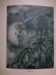 Schulze, Otto. - Von Engeln. Eind Lied von Kindern/ Engeln und Blüten. Zehn Kupfertiefdrucktafeln. Band IX.