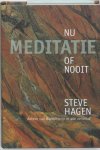 Steve Hagen - Meditatie nu of nooit
