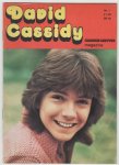  - idool magazine David Cassisy 1