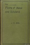 Bews, J.W. - An introduction to the Flora of Natal and Zululand
