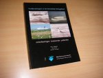 Meininger, Peter L. - Kustbroedvogels in het Noordelijk Deltagebied ontwikkelingen, knelpunten, potenties