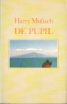 Mulisch, Harry - De pupil