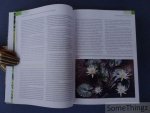Christel Kasselmann. - Aquariumplanten. Alle soorten uit de praktijk.