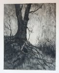 Ven, Jan Cornelis van der (1896-1930) - Etching/ets: fallen tree by river/Gevallen boom bij rivier.
