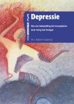 R.B. Houtman - Depressie