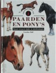 Caroline Ball 249403 - Identificeren van paarden en pony's nieuwe compacte studie- en identificatiegids