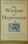 Jonathan G. Zuess - The Wisdom of Depression