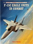 Steve Davies 130667 - F-15C Eagle Units In Combat