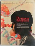 Macdonald, Ross Malcolm. Illustrator : Lewis, Richard e.a - De mens van nul tot nu Waar komen we vandaan? Waar blijven we? Voorgeschiedenis, begin en ontwikkeling van het leven. Het fascinerende mechanisme van de erfelijkheid.