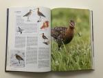 Hoogenstein, Luc - Handboek vogels van Nederland