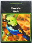 Bouland, Brigitta - Tropische vogels