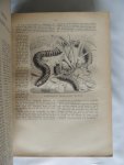Brehm, A.E. (voor Nederland bewerkt door S.P. Huizinga) - Het leven der dieren - Deel 1: De zoogdieren. - Deel 2: De vogels. - Deel 3: Kruipende dieren - visschen - insecten - lagere dieren.