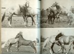 Schäfer M .  Vertaald door Wouter Slob De natuurlijke levenswijze van het paard ... en de stalondeugden ... schudden krabben en schuren - Uw paard van haver tot gort   Alles over het doen en laten van uw paard.......133 Super mooie foto's ... Drachtigheidsduur en geboortetermijnen, het veulen en zijn voorkomen, gezichtsmimiek en lichaamshouding maar ook de begroetingsceremonieel