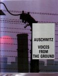 Swiebobocki, Teresa and Henryk - auschwitz, voices from the ground