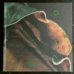  - raoul bunschoten Forum 36-1