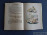 Kleinschmidt, Otto. - Raubvögel und Eulen der Heimat.