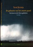 Bruinja, Tsead - De Geboorte van het Zwarte Paard: De berte fan it swarte hynder
