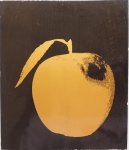 Wildschut Hajo, Nijstad Saskia, e.a. - Almanak 1972  G.V.S.C.