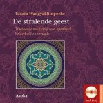 Tenzin Wangyal - De stralende geest