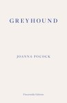 Joanna Pocock - (1) Greyhound
