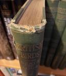 Butler, AG & FW Frohawk - British Birds with their Nests and Eggs – 6 volumes