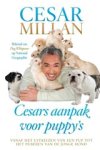 Cesar Millan - Cesars aanpak voor puppy's
