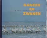 Bart Ebbinge - Ganzen en Zwanen