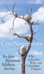 Cees Nooteboom - In den Bäumen blühen Steine Die erdachte Welt von Giuseppe Penone