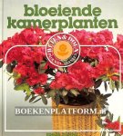 Meijer, Roelie - Bloeiende kamerplanten