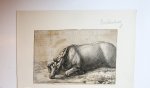 Adam Frans van der Meulen (1632-1690) and Jan van Huchtenburg (1647-1733) - [Antique print engraving/ gravure] Killed horse seen from left side (Gedode koe vanaf de linkerkant gezien), published ca. 1670-1730.