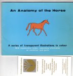Smith, R. N. - An Anatomy of the Horse A Series of Transparent Illustrations in Color with explanatory notes, containing information on evolution & gates.