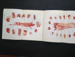 - Folder Alle dagen vlees op tafel