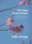 Jutta König 106262 - Moving experience complexities of acculturation