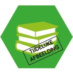 F. Dijkstra - Beste wadjan wok kookboek