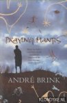 Brink, Andre - Praying Mantis
