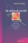 Sardello, Robert - De ziel in de wereld. Een ander spirituele benadering van het dagelijks leven.