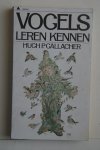 Gallacher, Huch P. - biologie: Vogels Leren Kennen