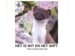 John Tromp - Het is wit en het wipt