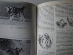 Hallgren A., vertaling B.S. Breur-Vriesendorp - Probleemhonden en hondenproblemen...hoe en waarom ??