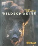 Florian Möllers - Wildschweine
